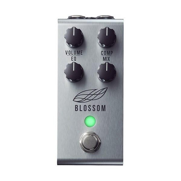 JACKSON AUDIO Blossom H Music