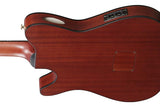 IBANEZ FRH20SMN TCL Nylon-String Acoustic/Electric