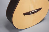 ALTAMIRA N300CC Nylon-String Acoustic/Electric