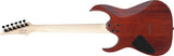 IBANEZ RG421S Electric Guitar