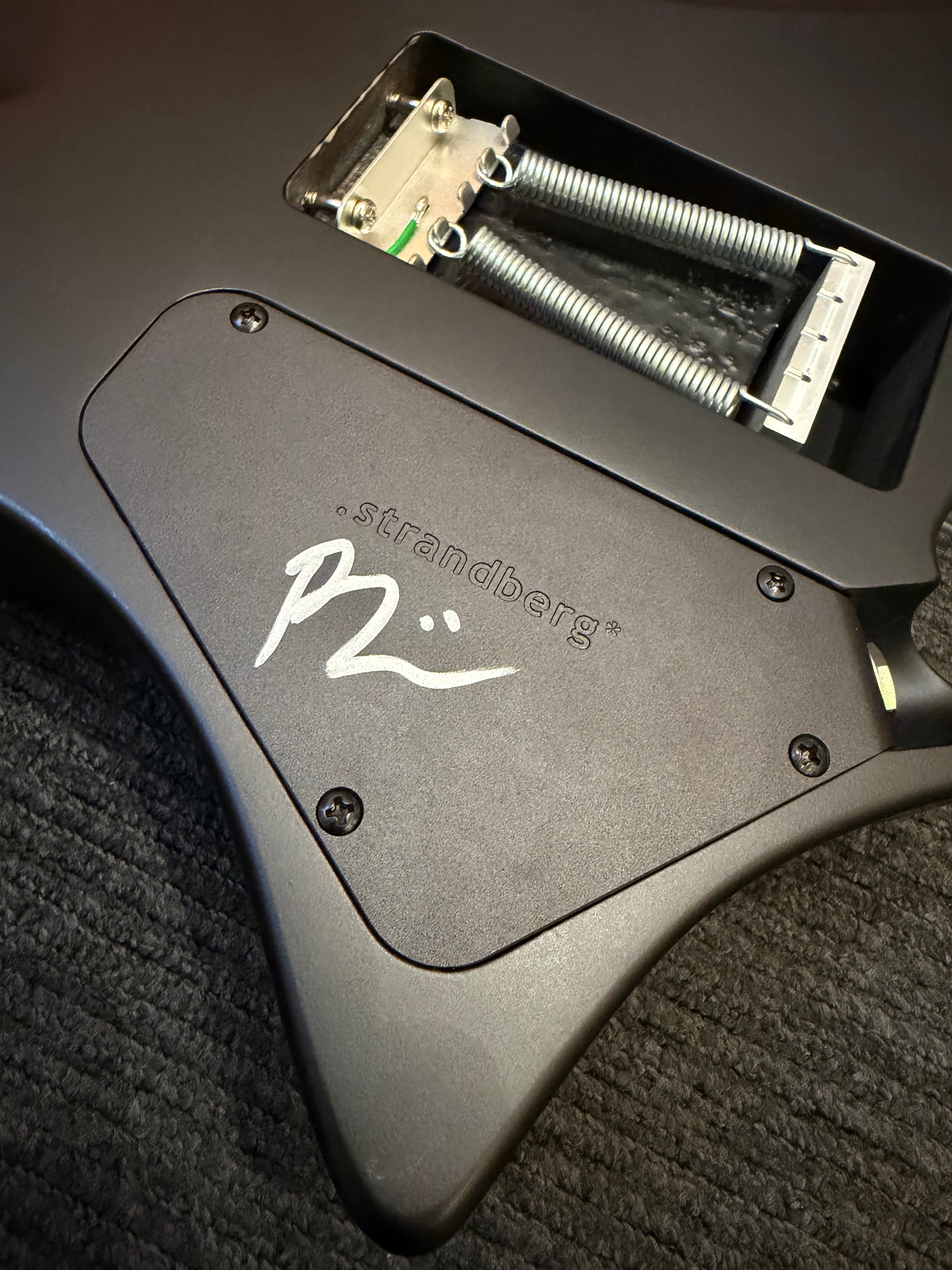 STRANDBERG Sälen NX 6 Tremolo Plini Edition Black - Signed by