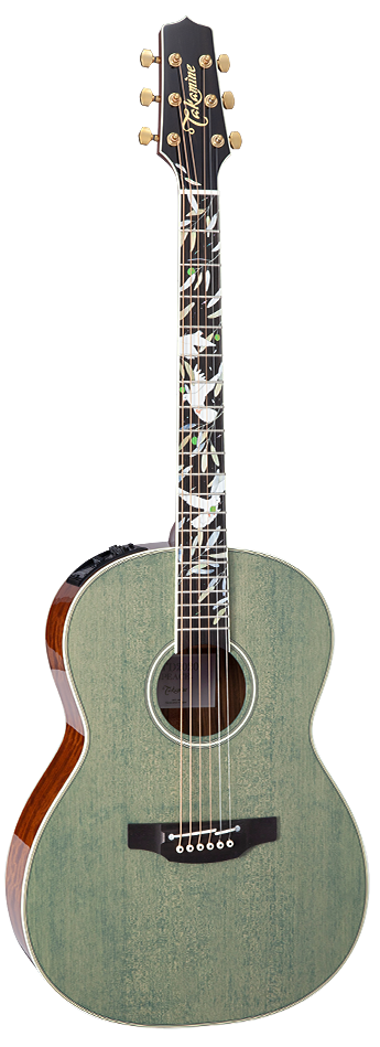 TAKAMINE LTD2020 PEACE Acoustic Electric