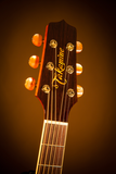 TAKAMINE P4DC Acoustic/Electric