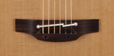 TAKAMINE P3D Acoustic/Electric