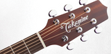 TAKAMINE P2DC Acoustic/Electric