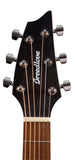 BREEDLOVE Discovery Concert Edgeburst CE Acoustic/Electric